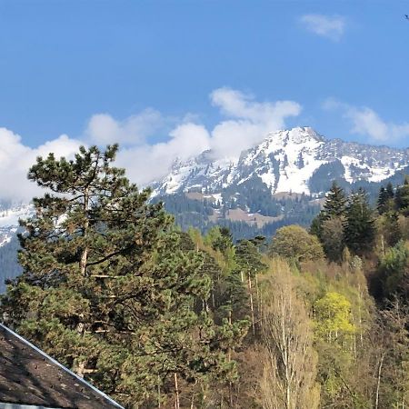 Grosszuegige Ferienwohnung Fuer 4 Personen Interlaken Exterior foto